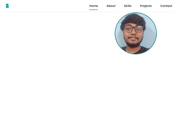 Freelance Web Developement